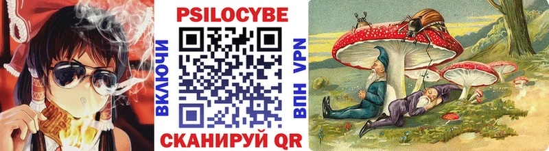 где продают наркотики  Мичуринск  Псилоцибиновые грибы MAGIC MUSHROOMS 
